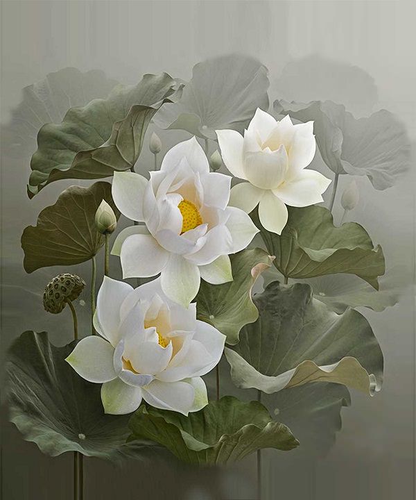 tranh-hoa-sen-trang