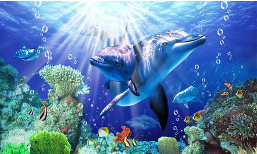 vẽ tranh tường 3d 3